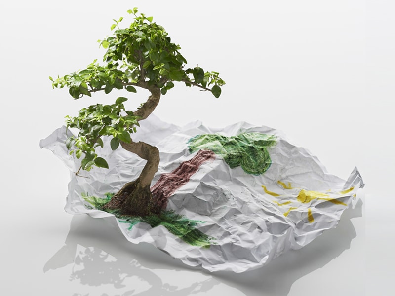 Stage 6 of the 7 Stages of Process- Self Actualisation